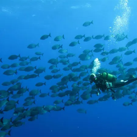 Dom wakacyjny Matrimonial En Un Bajo Bano Compartido Areas Compartidas